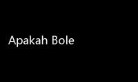 Apakah Boleh Umat Muslim Ikut Menyanyikan Lagu Natal?