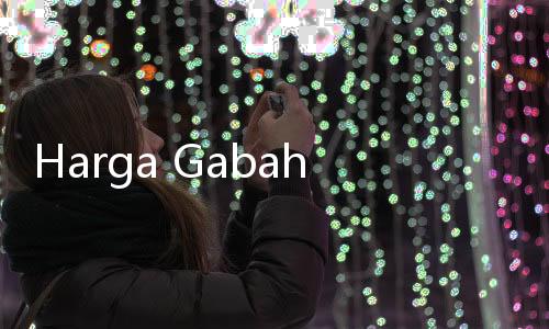 Harga Gabah Resmi Naik Rp 500, Pengamat Berikan Respon Positif